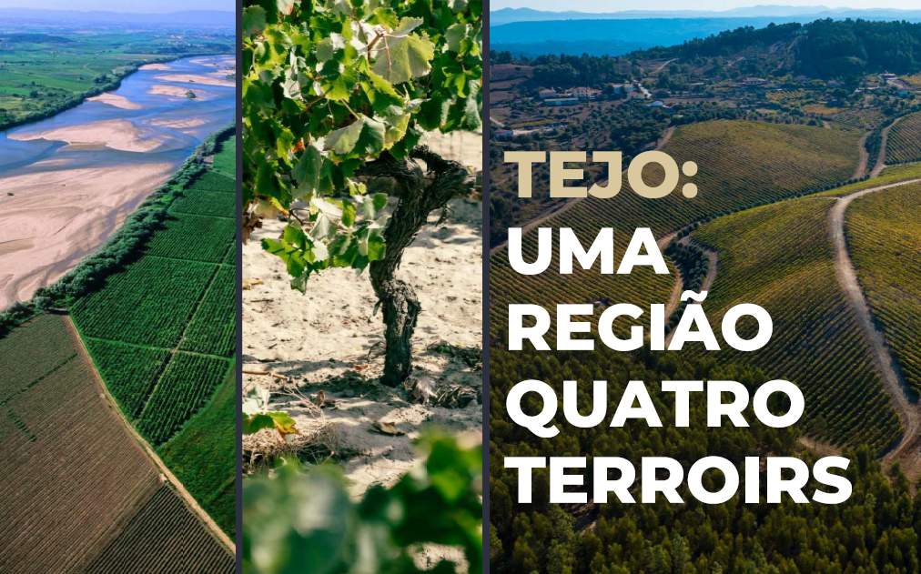 Banner promocional "Tejo:Uma região 4 terroirs"
